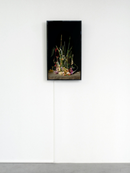 Sara Bjarland website