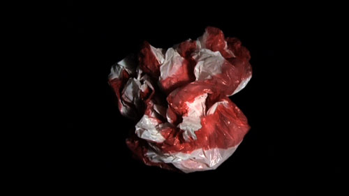  Sara Bjarland website