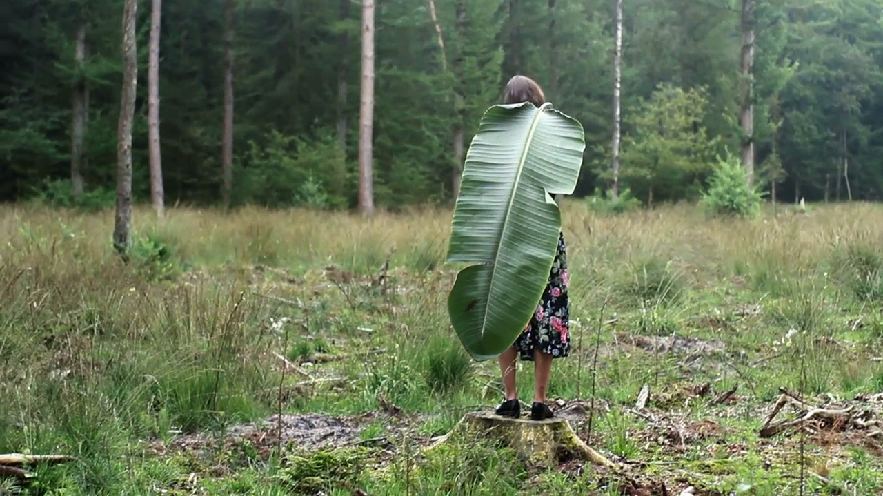  Sara Bjarland website