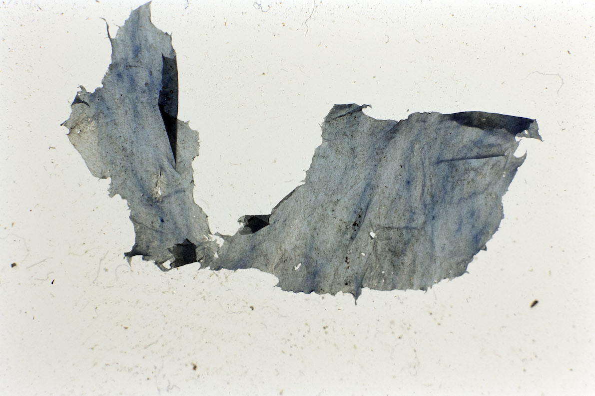  Sara Bjarland website