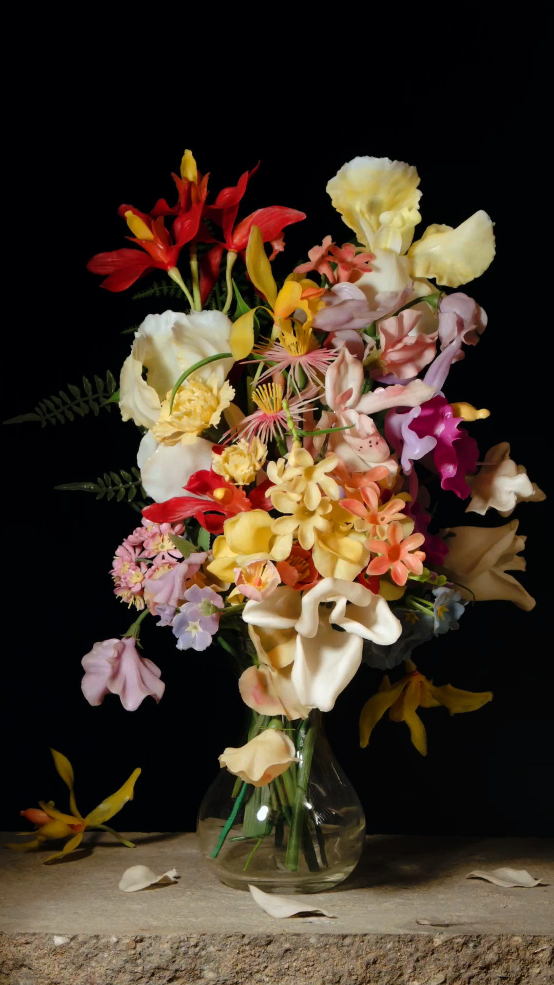 Sara Bjarland website