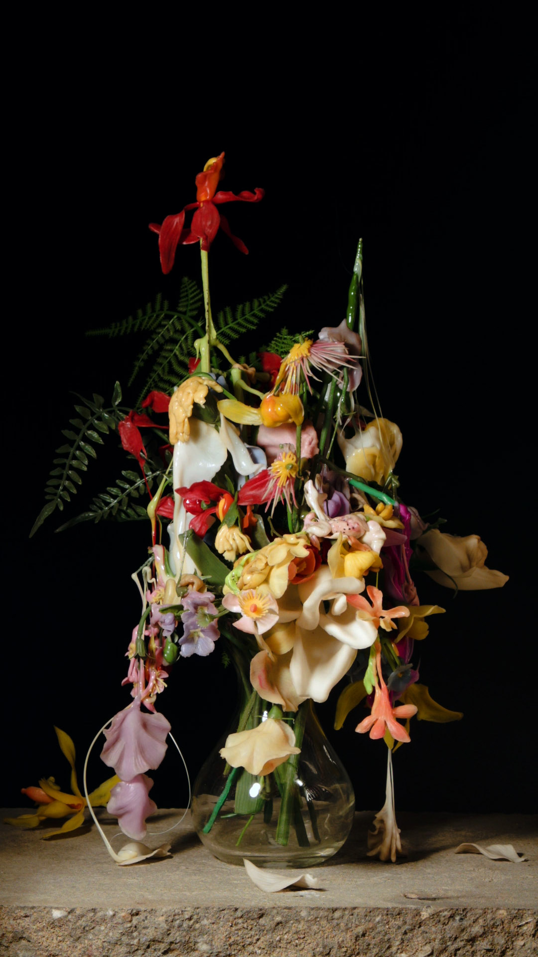  Sara Bjarland website