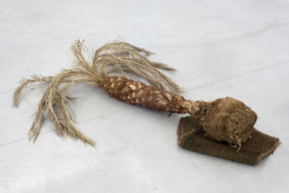  Sara Bjarland website