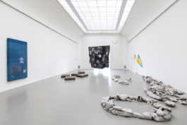 Sara Bjarland website