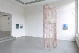 Sara Bjarland website