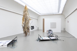 Sara Bjarland website