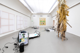 Sara Bjarland website