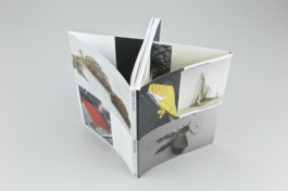  Sara Bjarland website