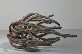  Sara Bjarland website