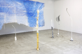  Sara Bjarland website