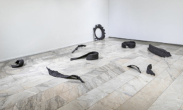  Sara Bjarland website