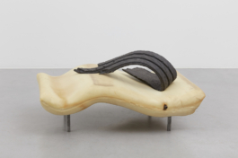  Sara Bjarland website