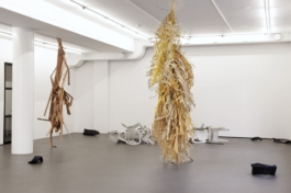  Sara Bjarland website