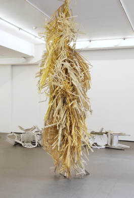  Sara Bjarland website