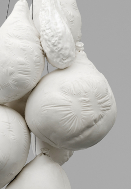 Sara Bjarland website