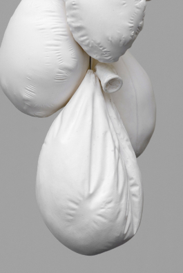 Sara Bjarland website