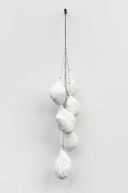 Sara Bjarland website