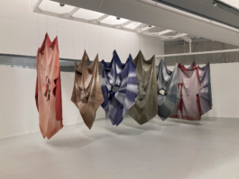  Sara Bjarland website