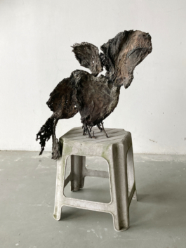  Sara Bjarland website