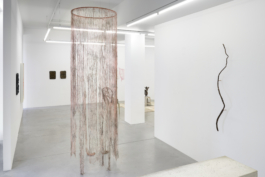  Sara Bjarland website