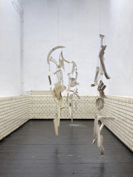  Sara Bjarland website