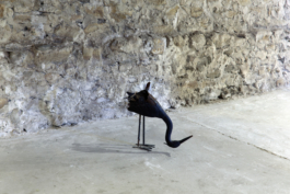 Sara Bjarland website