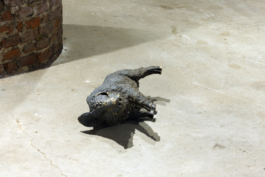 Sara Bjarland website