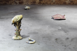 Sara Bjarland website