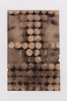 Sara Bjarland website