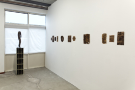 Sara Bjarland website