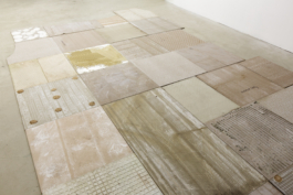 Sara Bjarland website