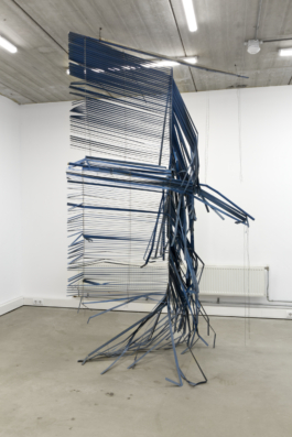 Sara Bjarland website