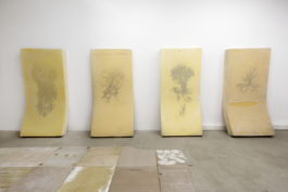 Sara Bjarland website