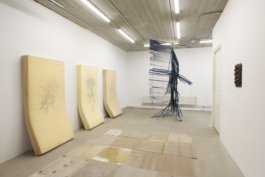 Sara Bjarland website